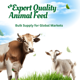 GreenandWhiteModernQurbanAnimalPromoInstagramPost280x280px_wj79y_280